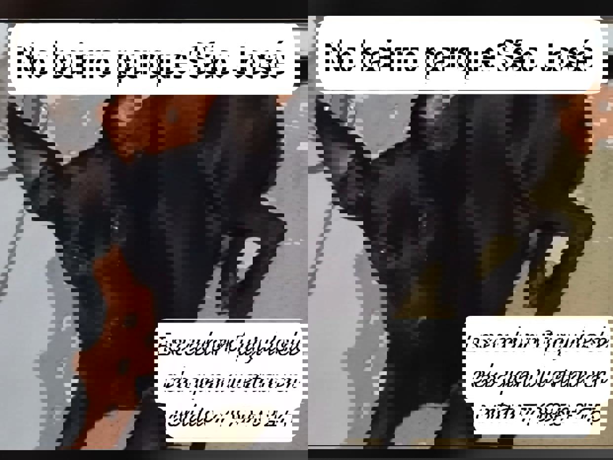 Imagem 1
