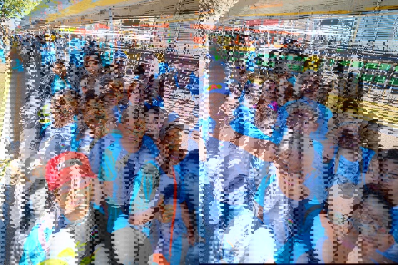 Imagem 1