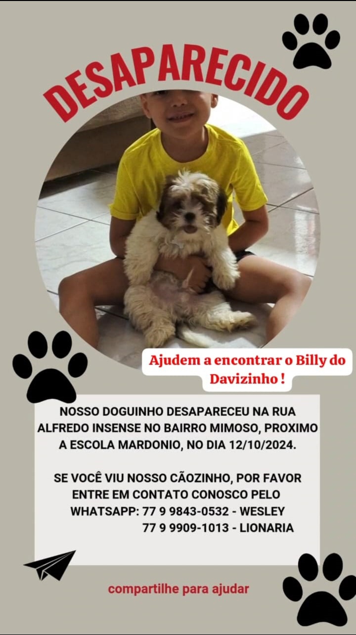 Imagem 1