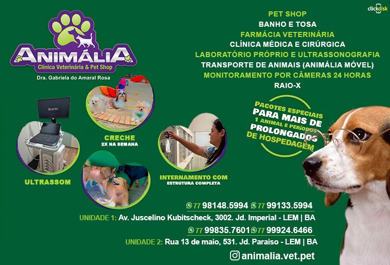 Imagem 1