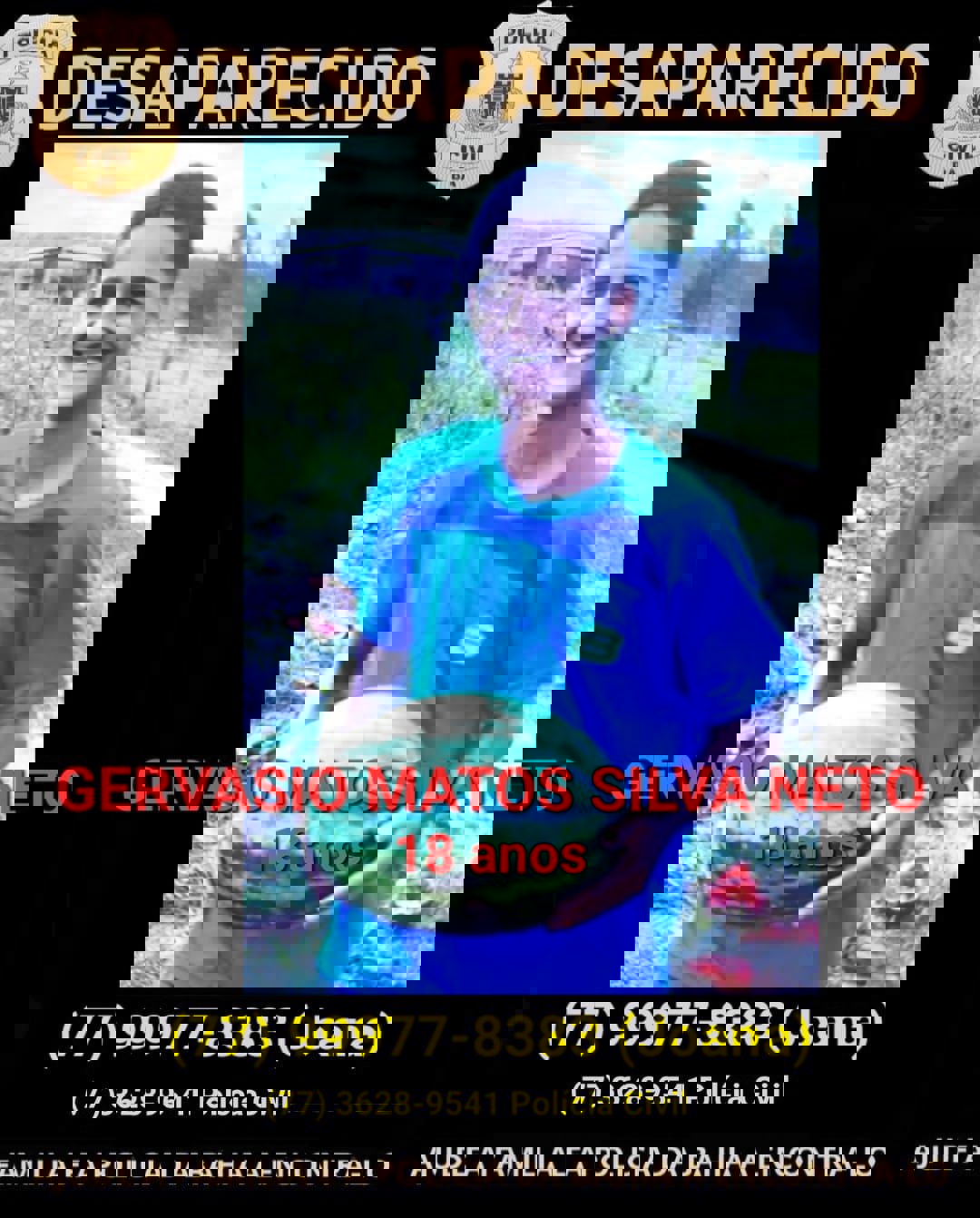 Imagem 1