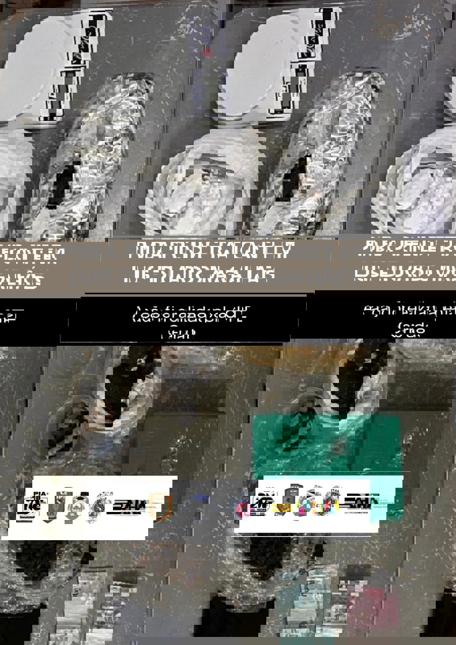 Imagem 1