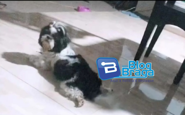 Imagem 1
